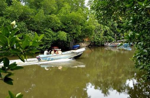 Riverdale Eco Resort Берувала Экстерьер фото