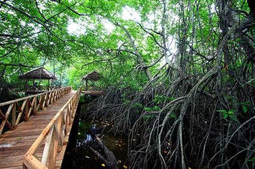 Riverdale Eco Resort Берувала Экстерьер фото